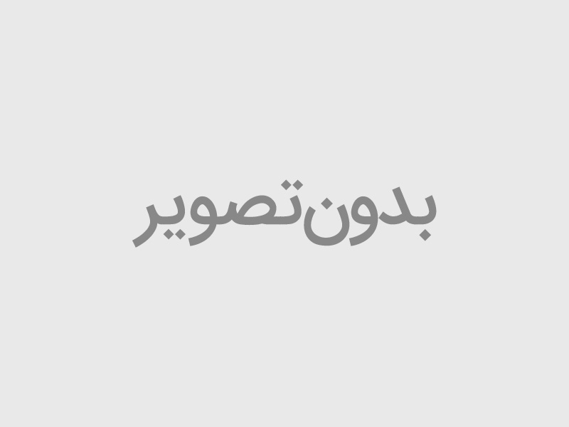 اسباب بازی گربه میله ای با سری ماهی دار مدل خرسی قابل اتصال به سطوح و دستی،میله ای
