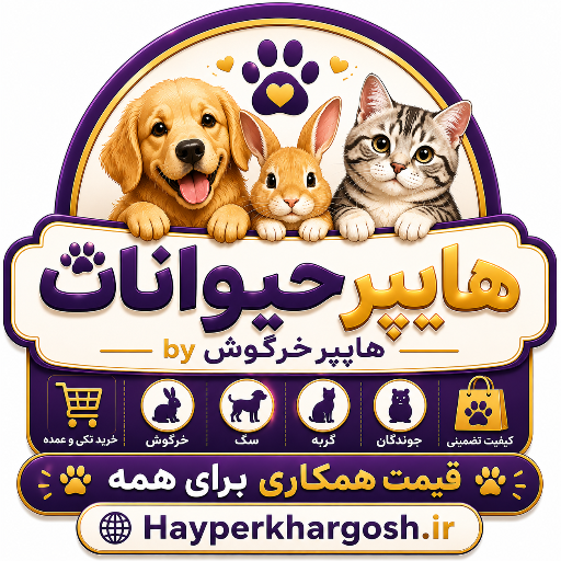 هایپرحیوانات(قیمت همکاری برای همه)