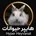 هایپرخرگوش (هایپرحیوانات)