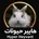 هایپرخرگوش (هایپرحیوانات)