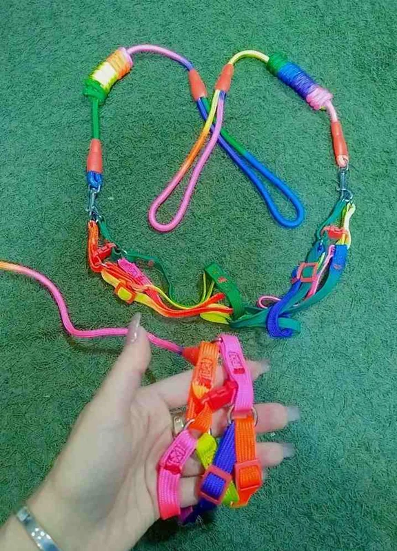 قلاده کتفی سگ کوچک گربه و خرگوش،مدل رنگین کمان