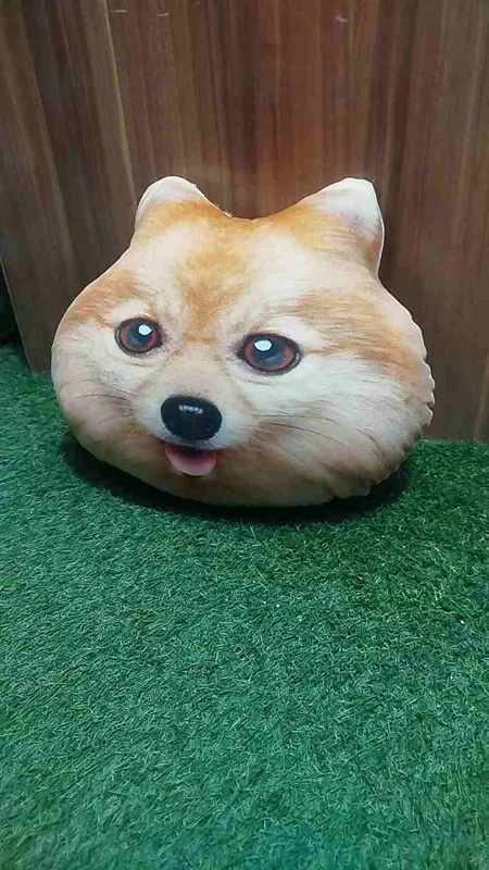 کوسن طرح صورت،عروسک سگ و گربه